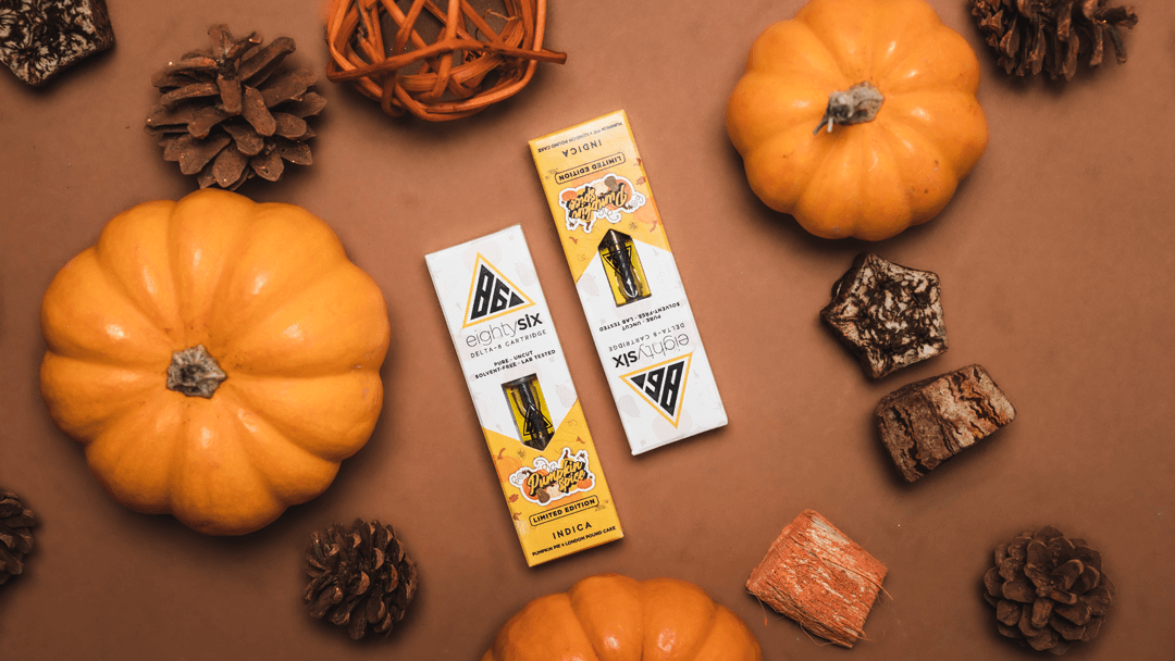 ALL EYES ON PUMPKIN SPICE!
