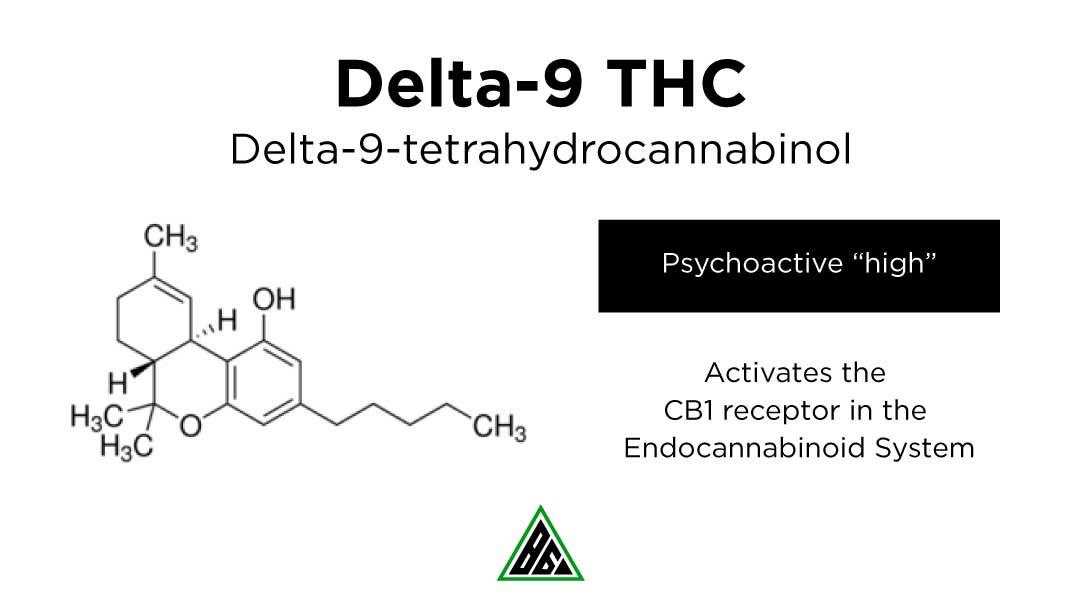 the makeup of Delta-9 THC